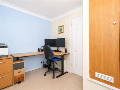 Picture 11